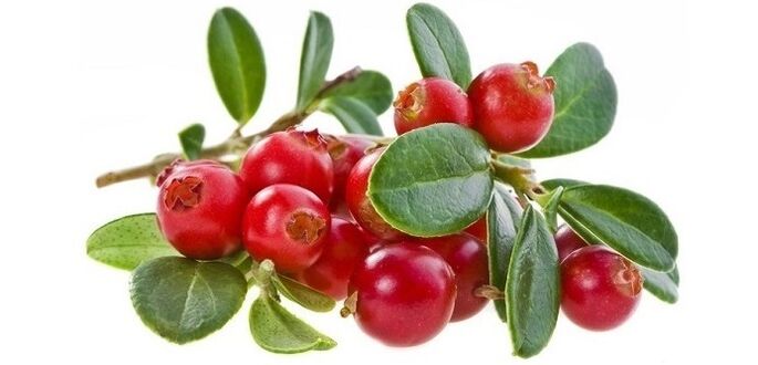 schnelle Behandlung von Blasenentzündungen mit natürlichen Cranberry-Kapseln Cyto Forte